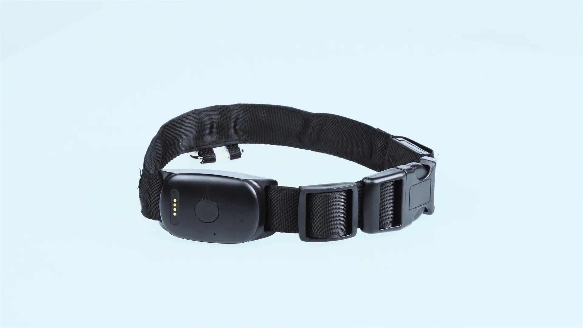 gps dog collar gps dog collar