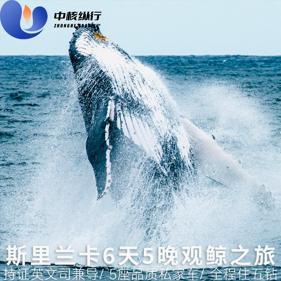 邂逅鯨魚| 斯裏蘭卡奢華觀鯨私享假期與海洋共舞沉浸蔚藍夢境