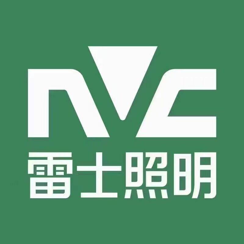 上海飞鸿照明的LOGO