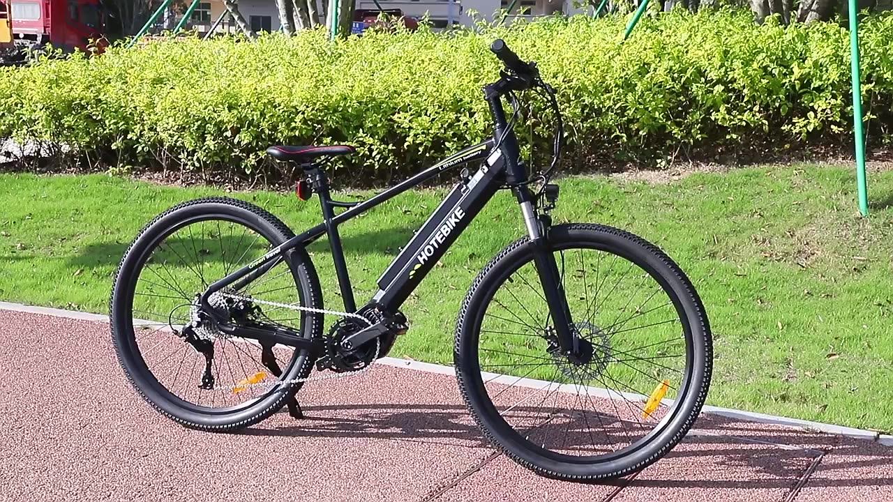 Delivery Bike E Bicycles 36v 48v 250w 350w 500w 750w Ebike Mid Drive