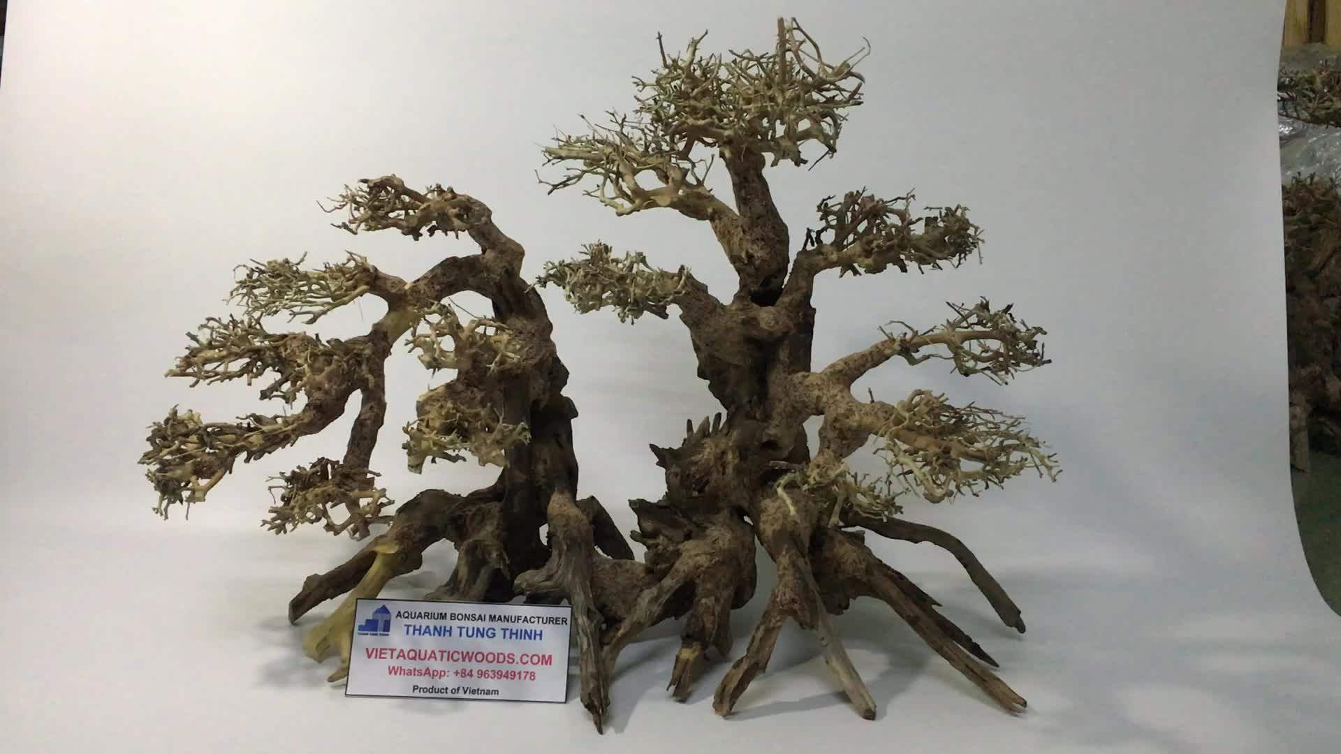 Wholesale Cheap Bonsai Aquarium From Driftwood,Root For Wholesale Buy