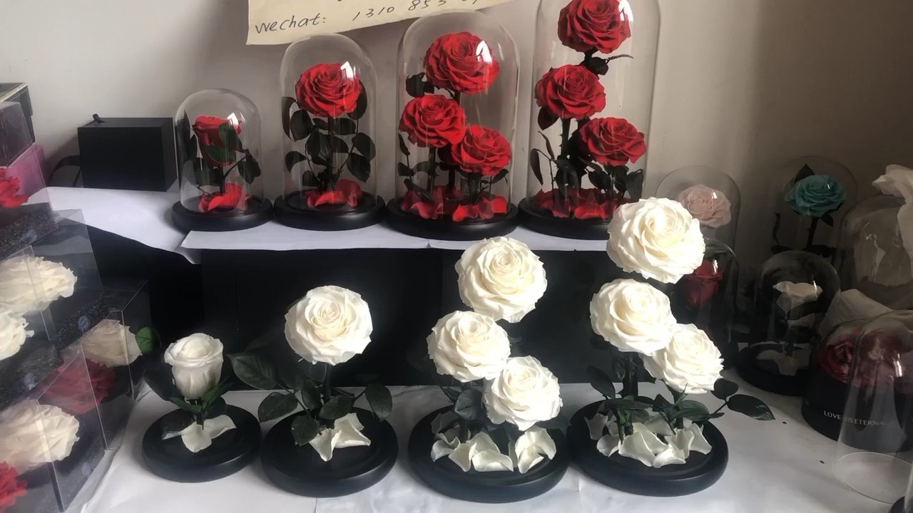 Natural Rose Eternity Roses In Glass Dome With The Black Gift Boxes For