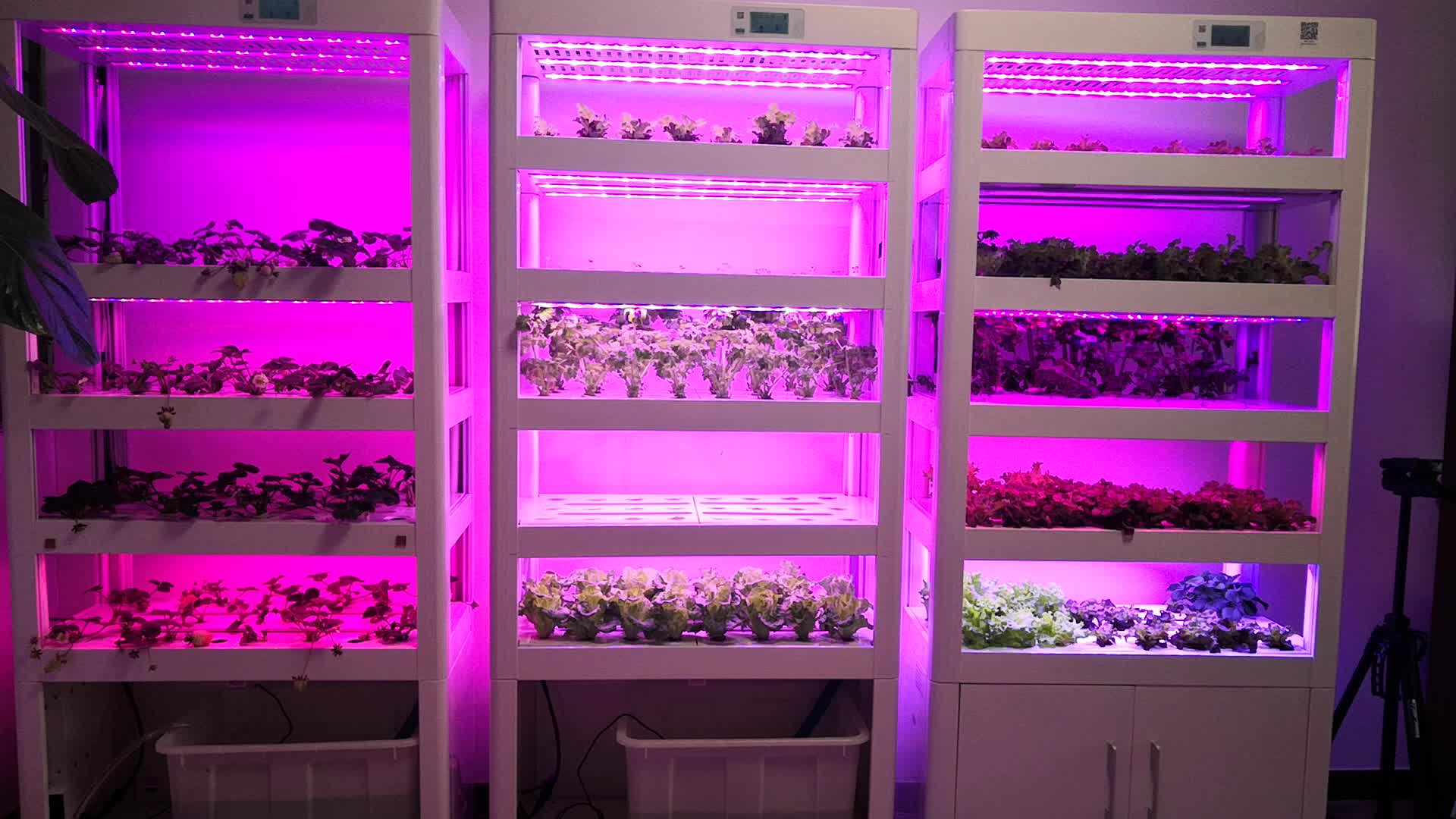 Hydroponic Farm Equipment Tower Hydroponics Grow Kit Hydroponics