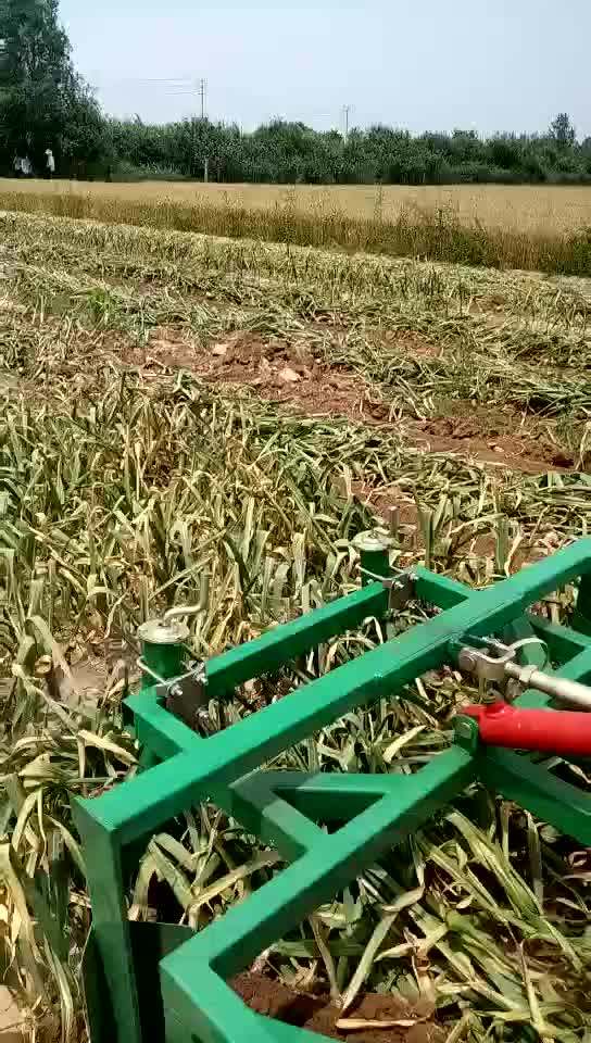 Juyou Onion Harvester For Sale 2row Potato Harvester Machine Garlic