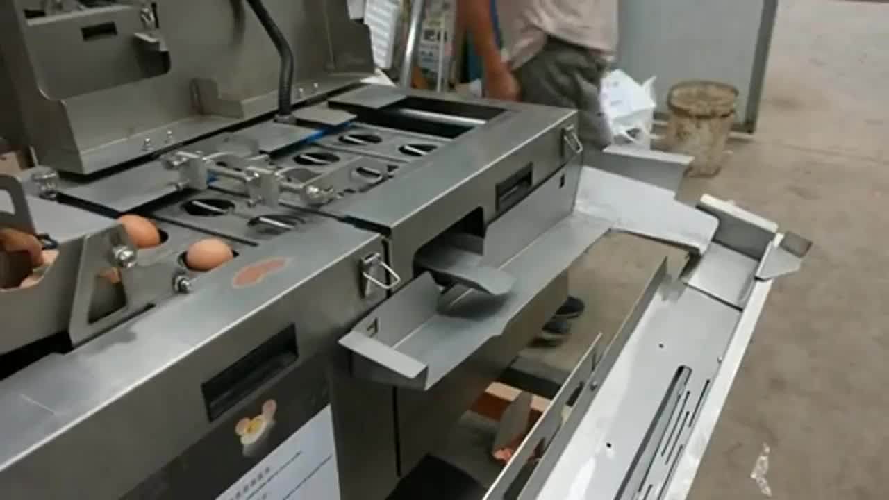 Liquid Egg Production Line For Small Egg Powder Making Pasteurization