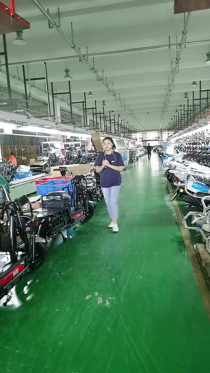 Electric Tricycle Turkey Bike Cargo Scooter 3 Wheel Adult Three Wheels