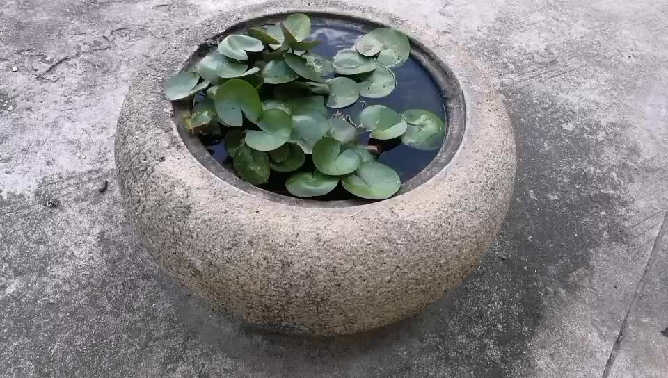 Antique Stone Dog Water Bowl Buy Dog Water Bowl,Stone Dog Water Bowl,Antique Stone Dog Water