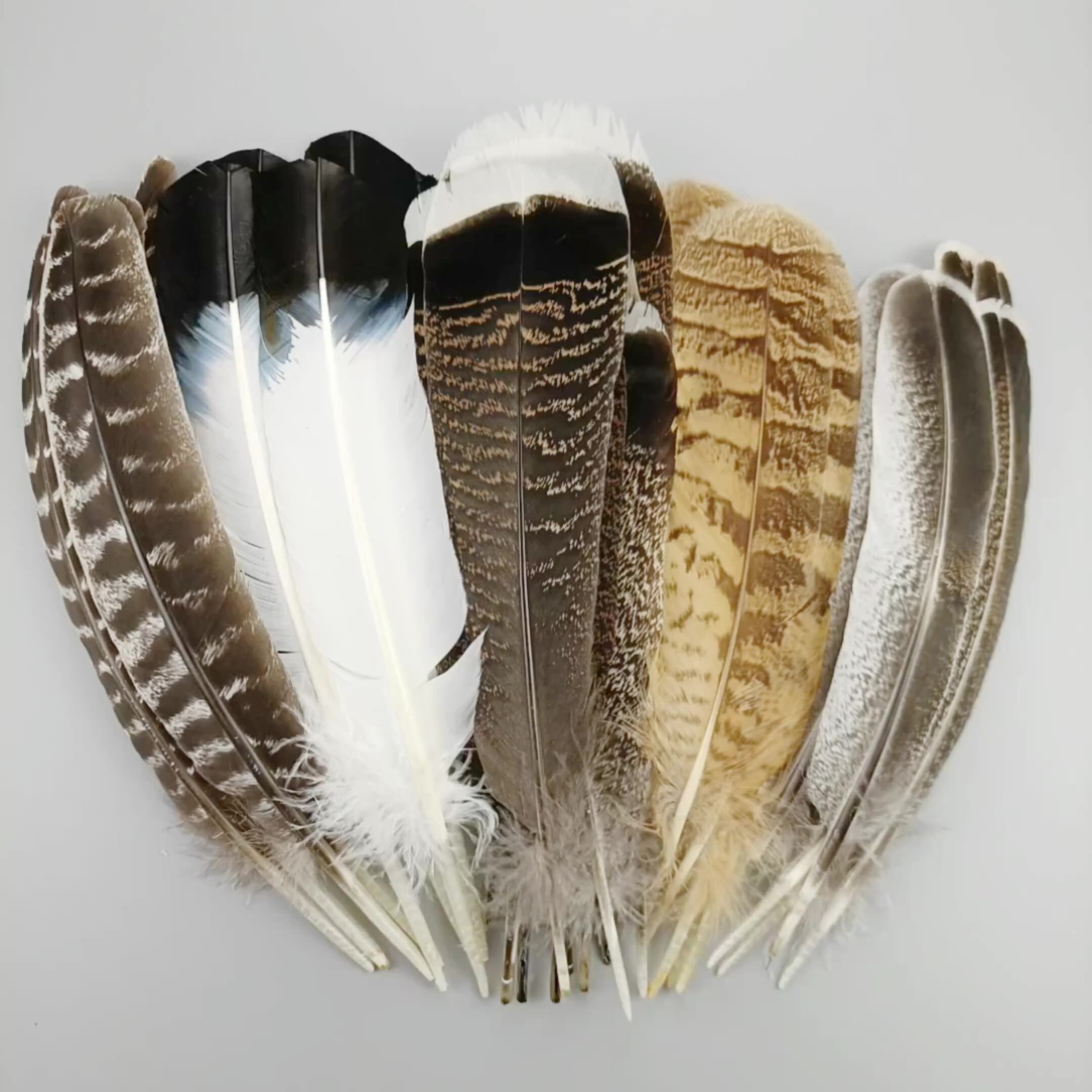 Lot de 50 plumes d'aigle naturelles de 25 à 30 cm pour travaux manuels, bijoux, décoration de scène