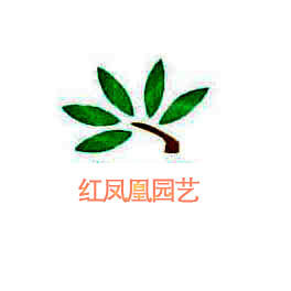红凤凰盆景园