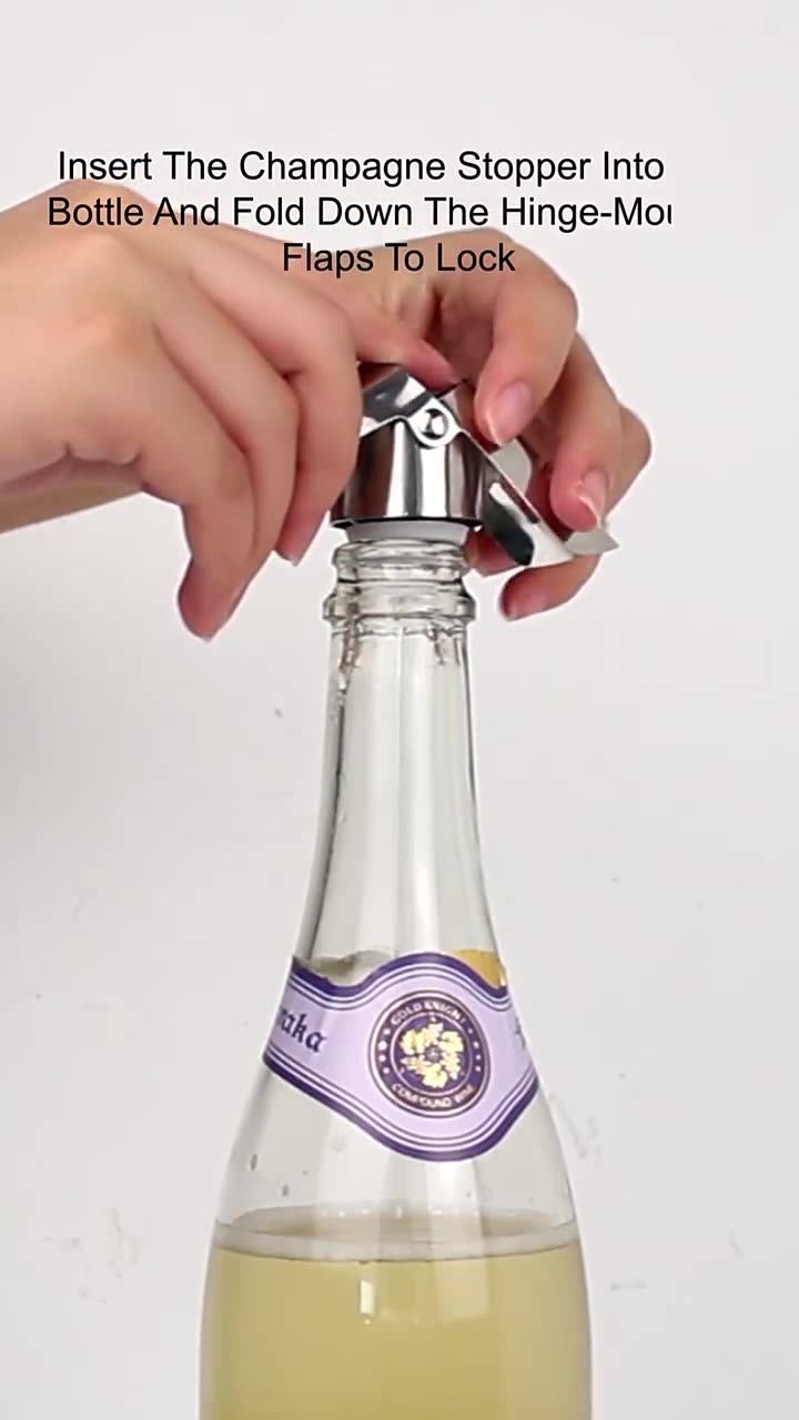 Different Metal Bottle Champagne Bubbly Stoppers Saver Plug Stainless