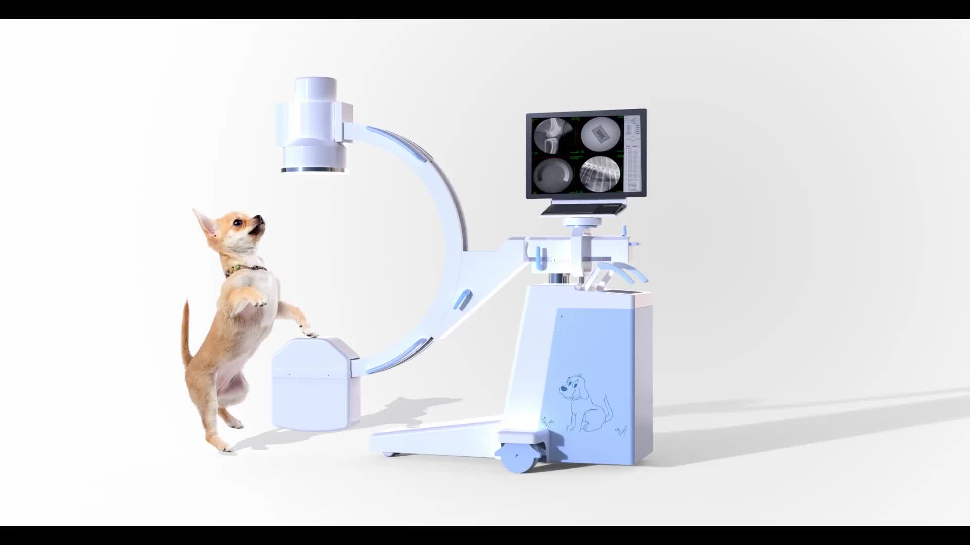 Veterinary Digital Radiography Systems Price Vet Surgical Carm Medical