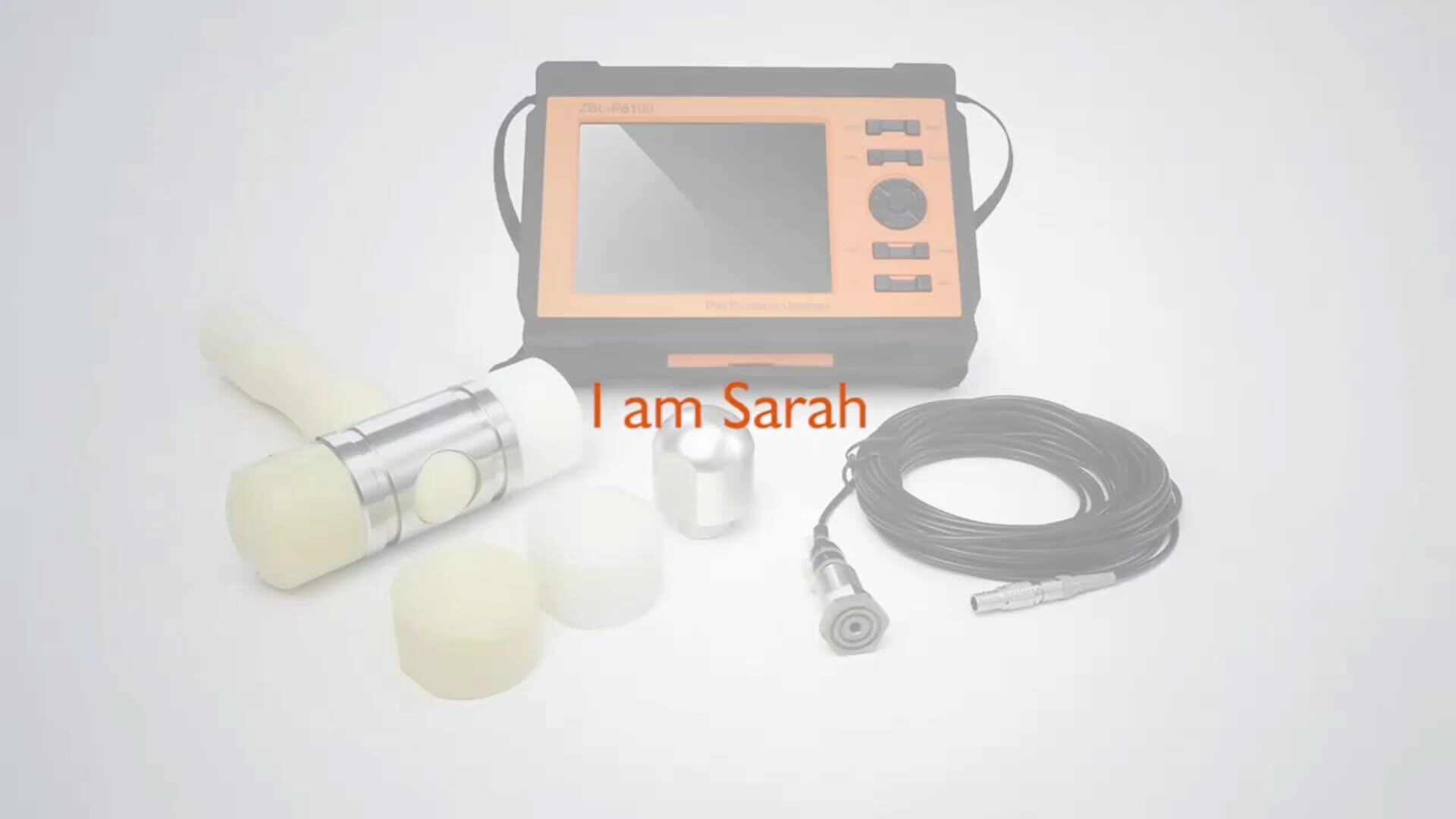 Акустический тестер свай pet piletest