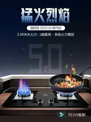 Aucma Aucma 3D021B Aucma gas furnace double mouth gas furnace gas liquefied gas household small drilling size