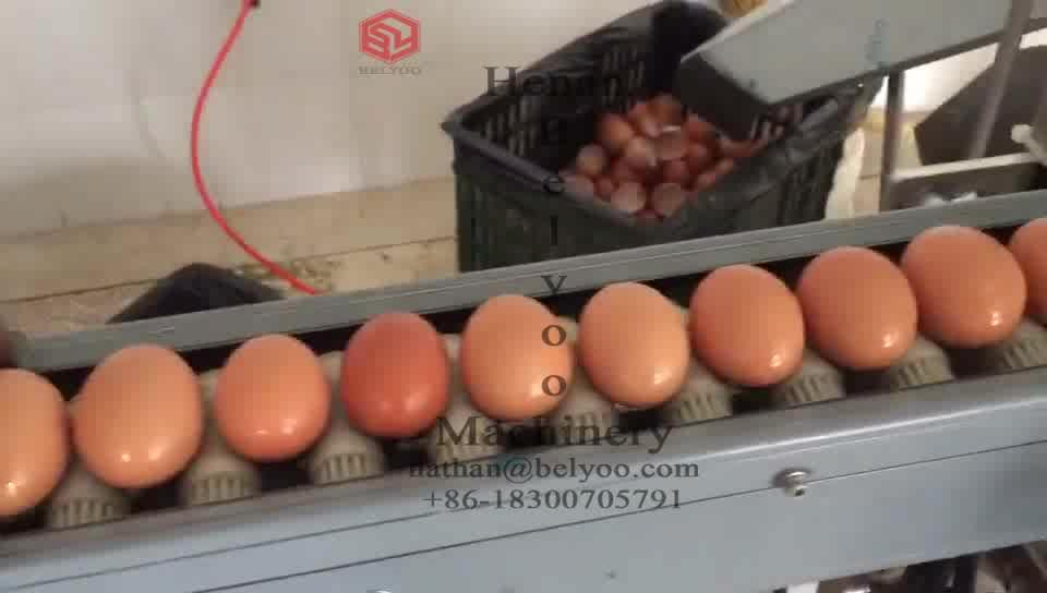 Automatic Egg Liquid Machine Egg White Yolk Separator Egg Breaking