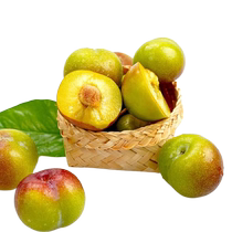 (Official Live Broadcast) Plum Fruit Sichuan Green Red Crisp Plum Half Red Plum Hundred Tonic Live Broadcast