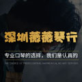 深圳薇薇琴行