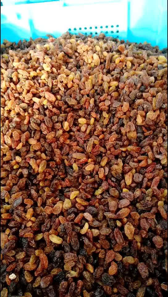 Ad Dried Fruits Dried Sultana Brown Raisins For Sale Buy Ad Dried