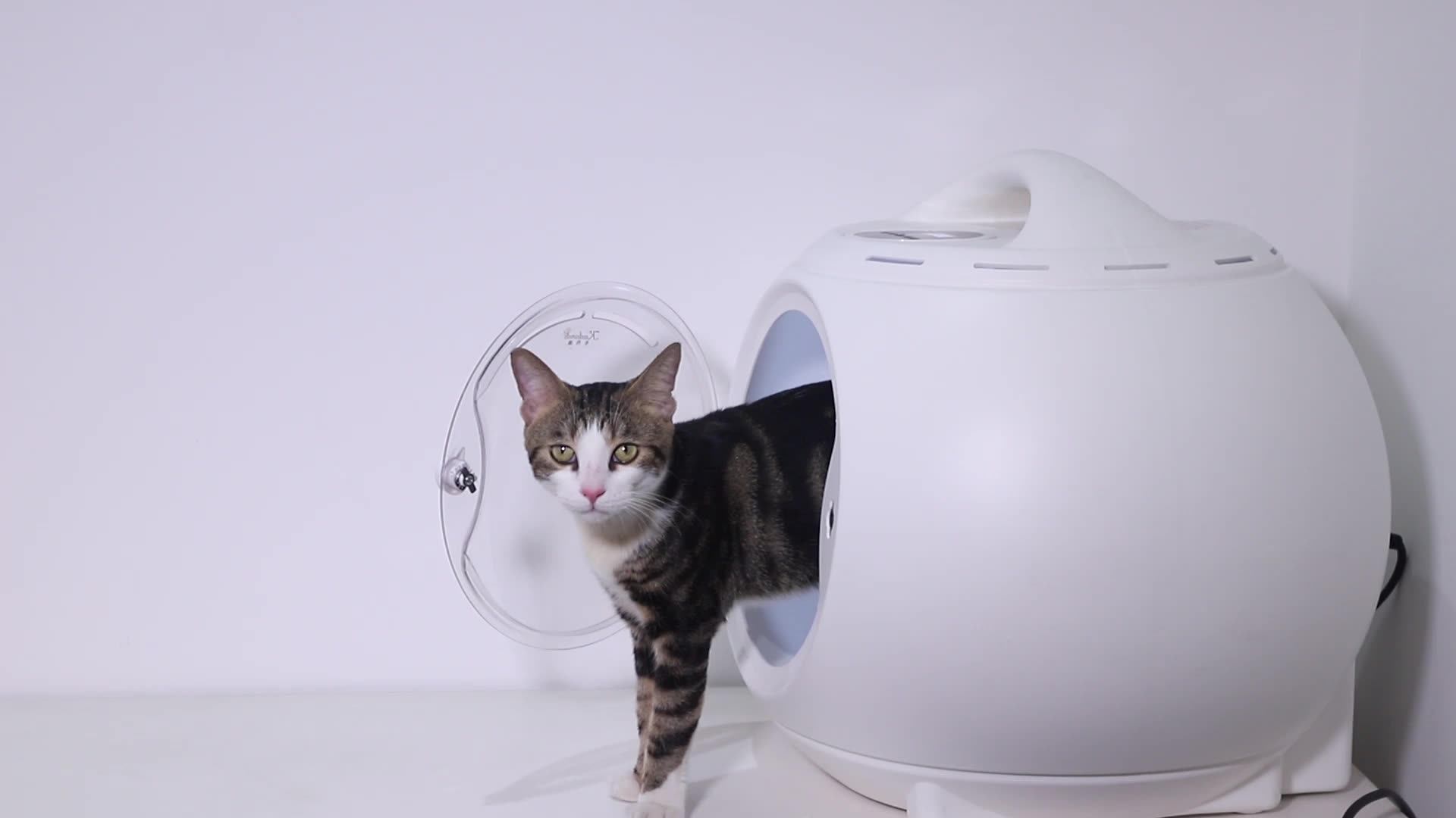 High Quality Automatic Pet Hair Dryer Machine Smart Dryer Box For Dog