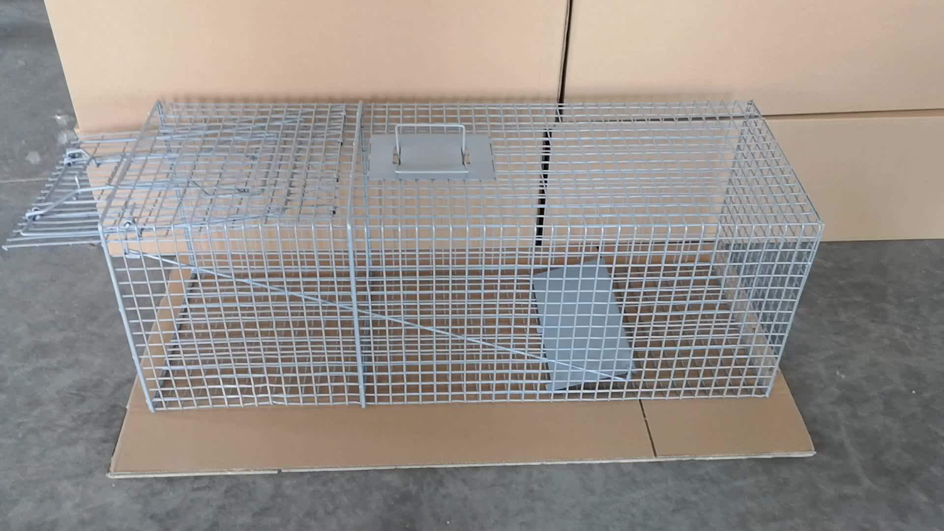 Live Animal Catch Cage Traps For Sales Rats Mouse Possums Raccoons