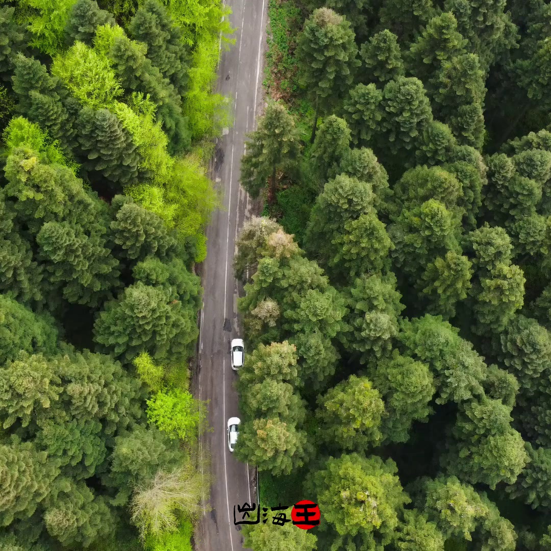 2024短视频带货秘籍大公开。从零前提的动画录制与运营攻略