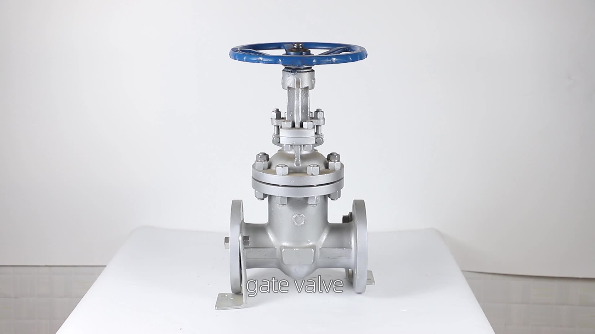 Задвижка 50 / 64. Литой клапан. Литой клапан. Задвижка malbranque 2” 600#. Литой клапан.