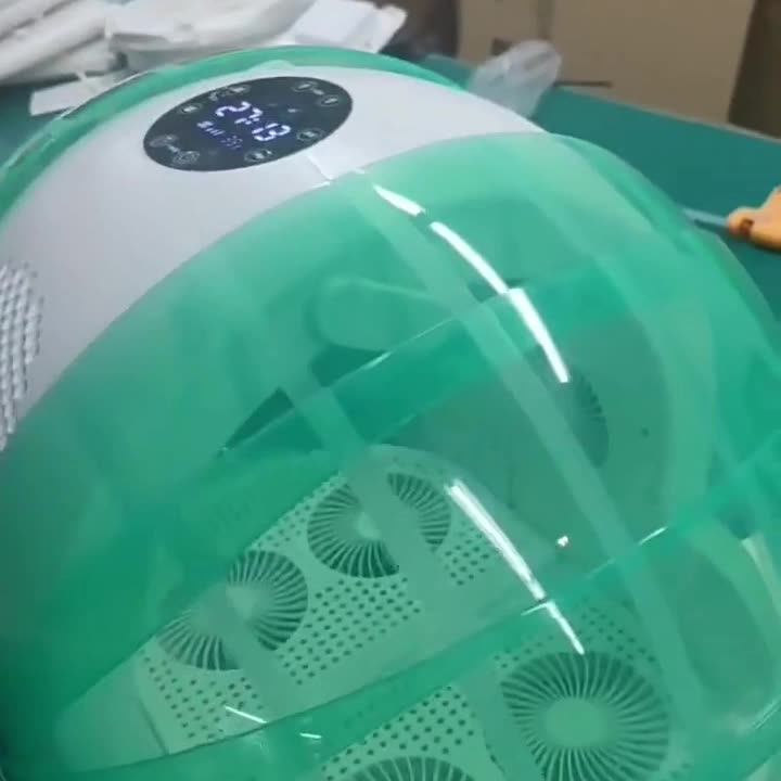 Lhwb102 Pet Hospital Cat Product Smart Pet Dryer Allround Blowing