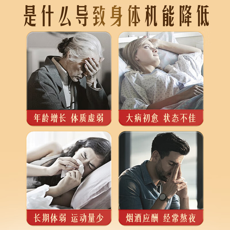 北京同仁堂破壁灵芝孢子粉：健康养生新风尚，节日送礼首选