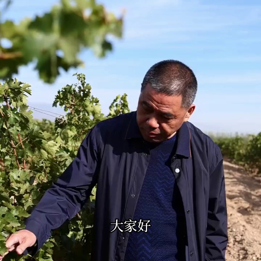 单宁是什么?揭秘葡萄酒的口感密码 - 好物爆料 - 淘江湖
