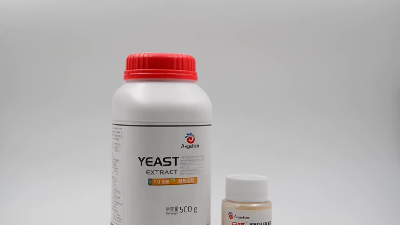 Angel Ultrafiltered Yeast Extract For Culture Media Fm888 Buy Yeast