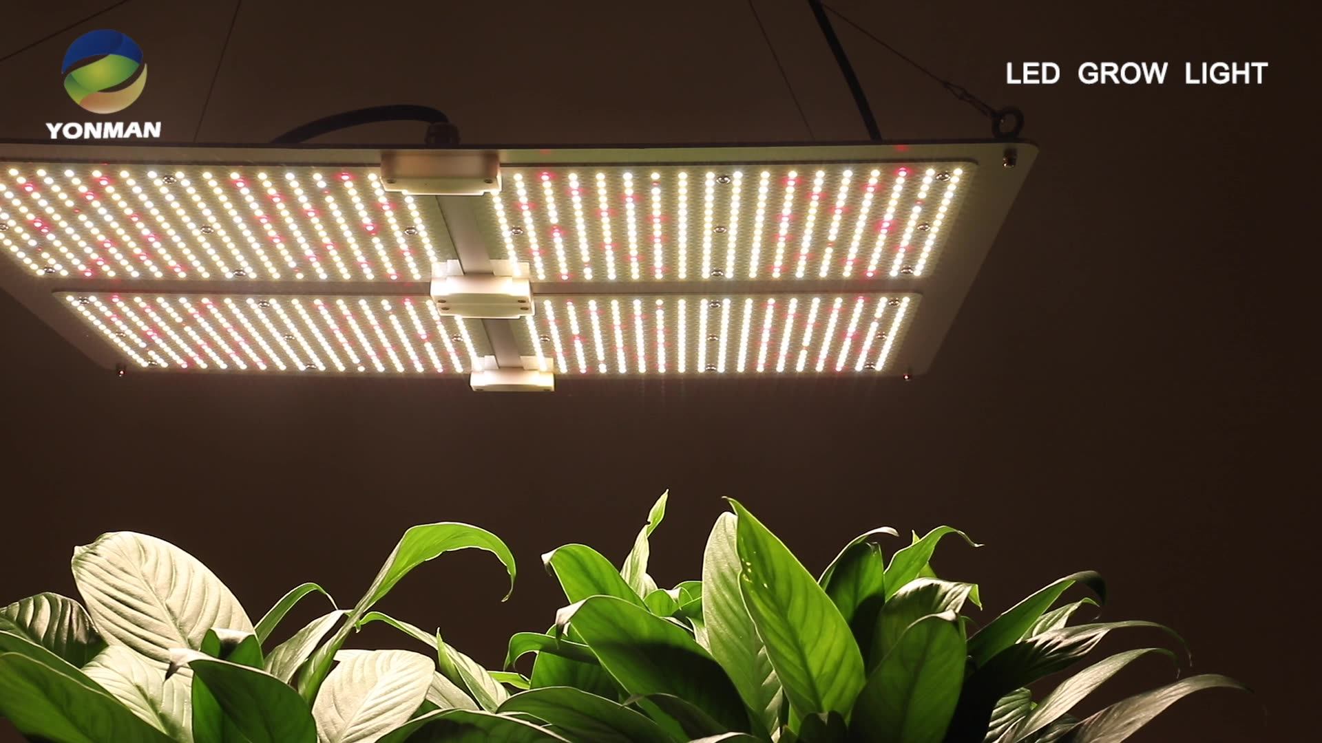 660w Led Lm301h Vertical Plant Grow Light Hydroponic For Plants Bloom