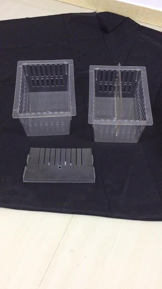 Medical Healthcare Abs Storage Clear Plastic Tray For Hospital