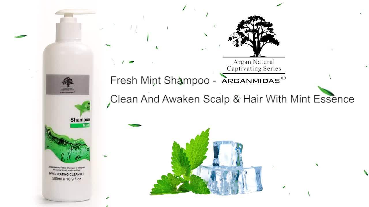 500 Ml Bioplant Mint Shampoo Manufacturer In China Buy Mint Shampoo