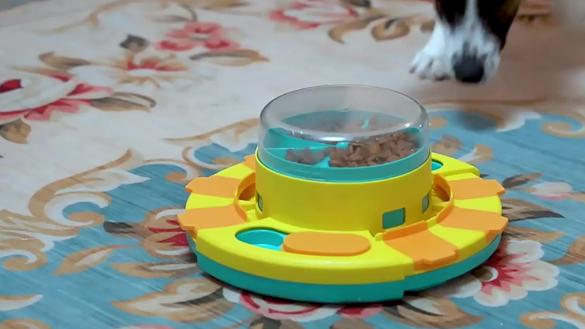 Wholesale Hot Sale New Dog Puzzle Feeder Interactive Dog Toys For Large