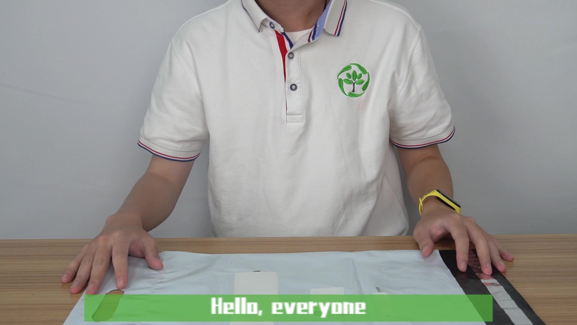 Customized Printed Logo Recyclable Postal Courier Ldpe Mailing Bags