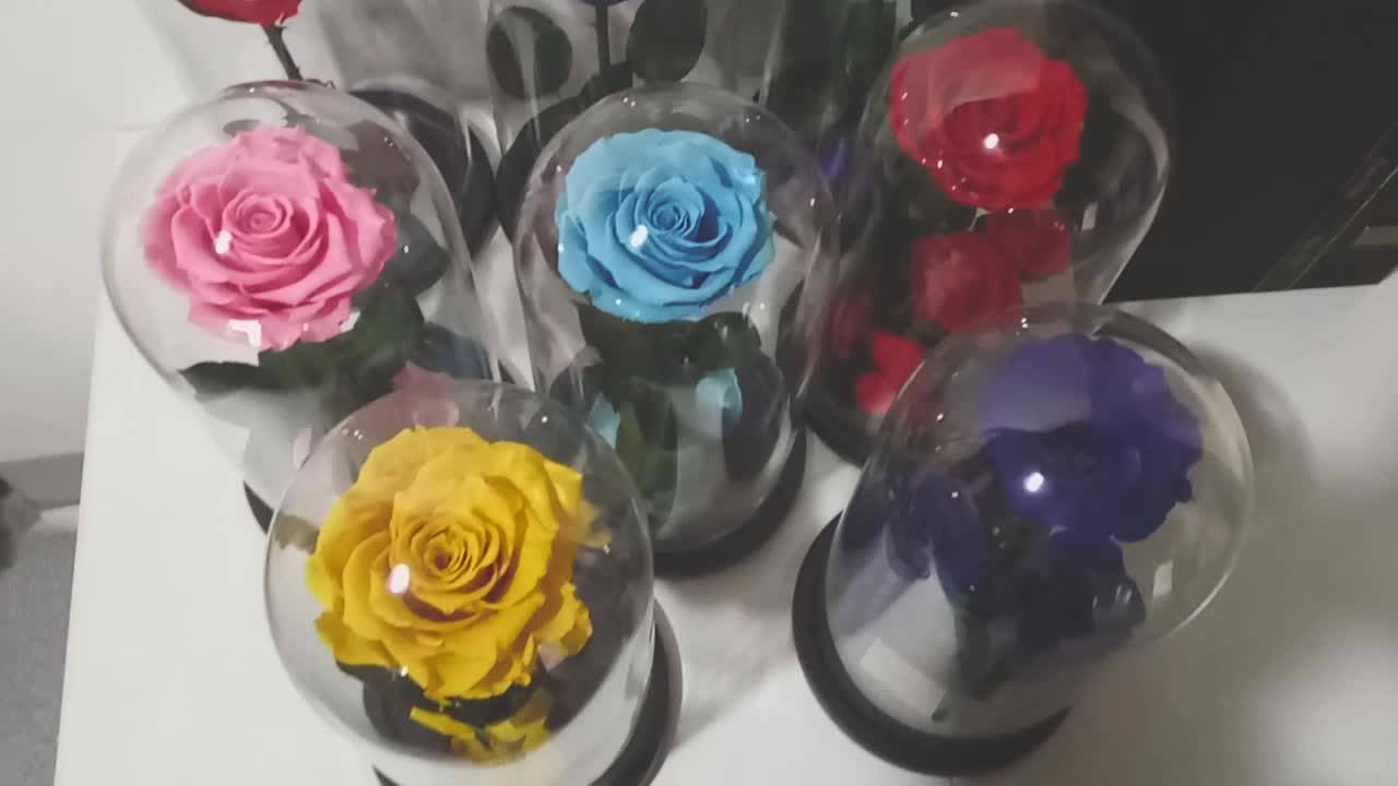 Hotselling Valentine Gift Beauty And The Beast Rose In Glass Wholesales