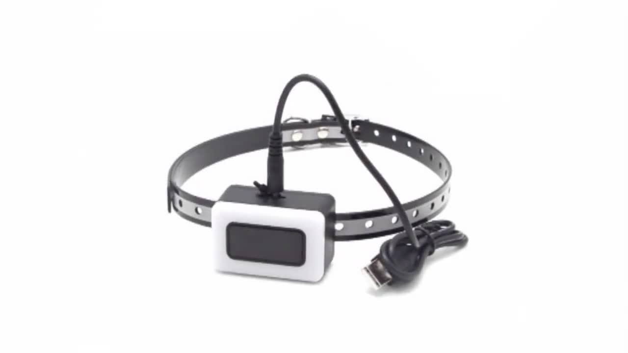 Dogs And Cats Accessories Effectively Adjustable Sensitivity Dog Shock