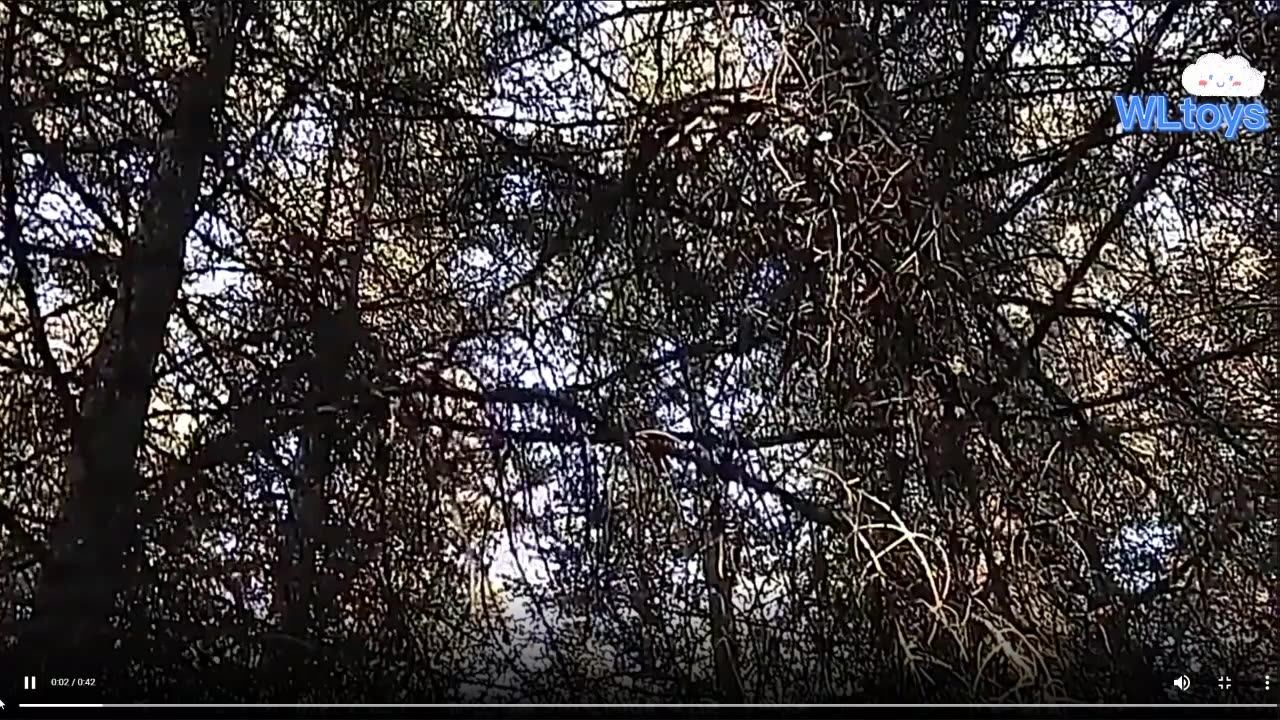 WLtoys 104002/104001 1/10 2.4G 60KM/H RCカー 高速 四輪駆動 屋外