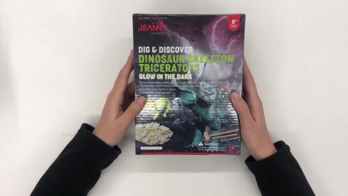 diy fossil dig kit