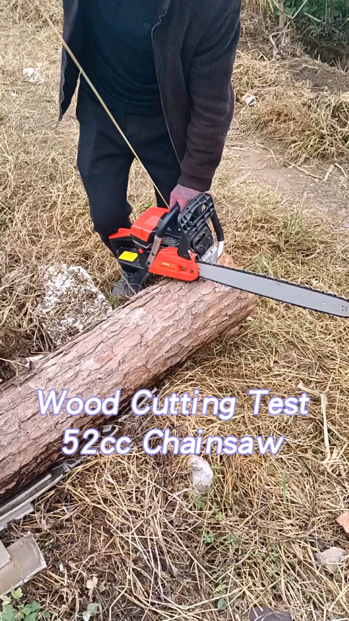 5200 Wood Cutter Machine Still Chainsaw Forestry Machinery Petrol