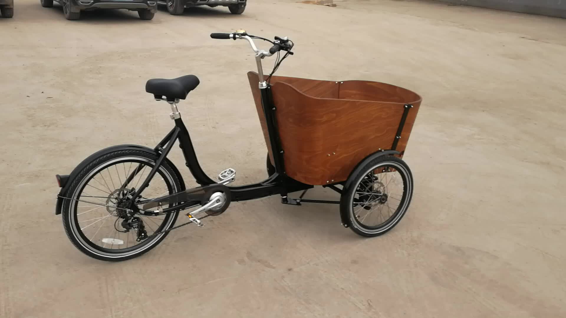 Cargo Bike Electric Driving Type 250w Motor Three Wheel Cargo Tricycle