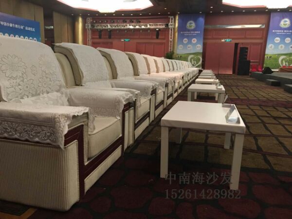 Thượng Hải VIP cho thuê lại sofa đơn cho thuê triển lãm sự kiện triển lãm VIP nội thất sofa đặc biệt mượn - Đồ gỗ ngoài trời bàn ghế ngoài trời nhập khẩu