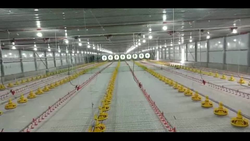 Commerical Prefabricated Steel Structure Poultry Chicken House For