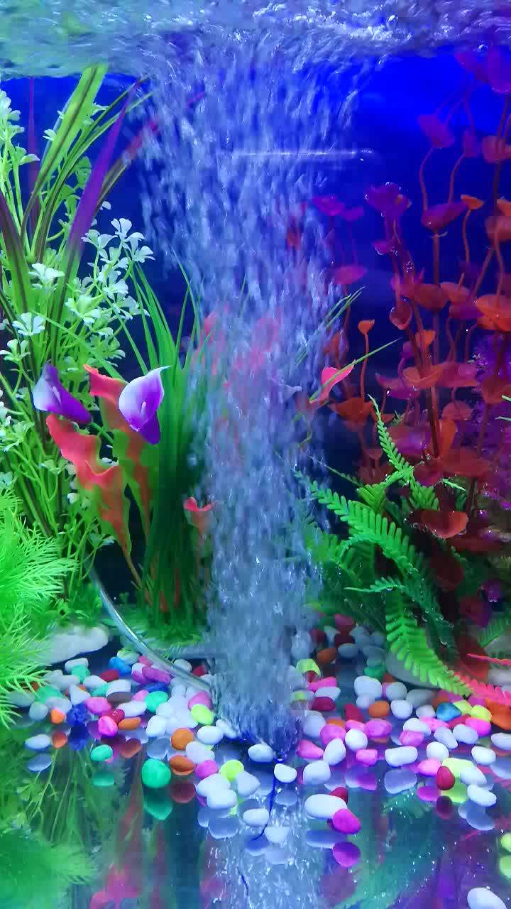 Aquarium Air Stone For Wastewater Large Cylinder Hydroponics Air Pump