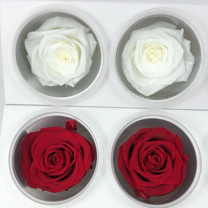 Wholesale 67cm Preserved Flower Dried Roses Natural Stabilized Rose