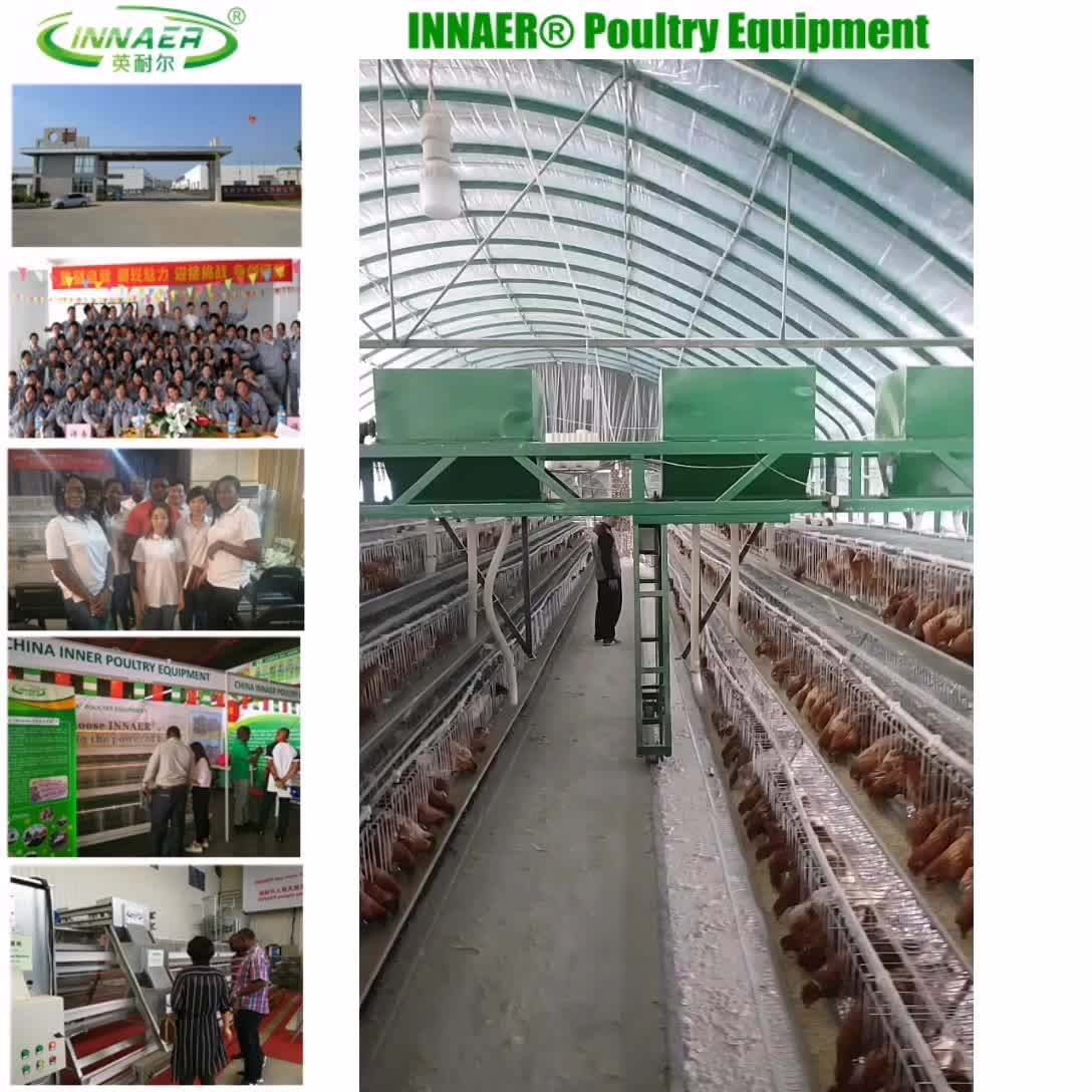 Simple Poultry House Design For Layers Buy Poultry Farm Layer Cage