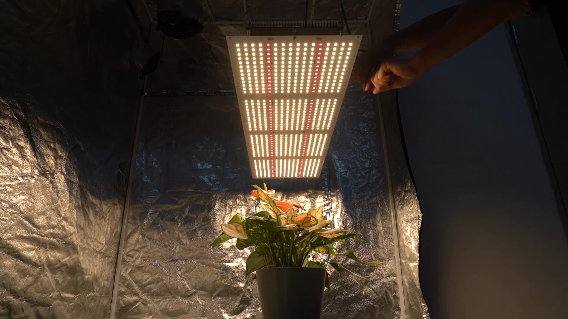 Meijiu Cheap Led Grow Kit Assembled Tissue Culture Assembled Samsung