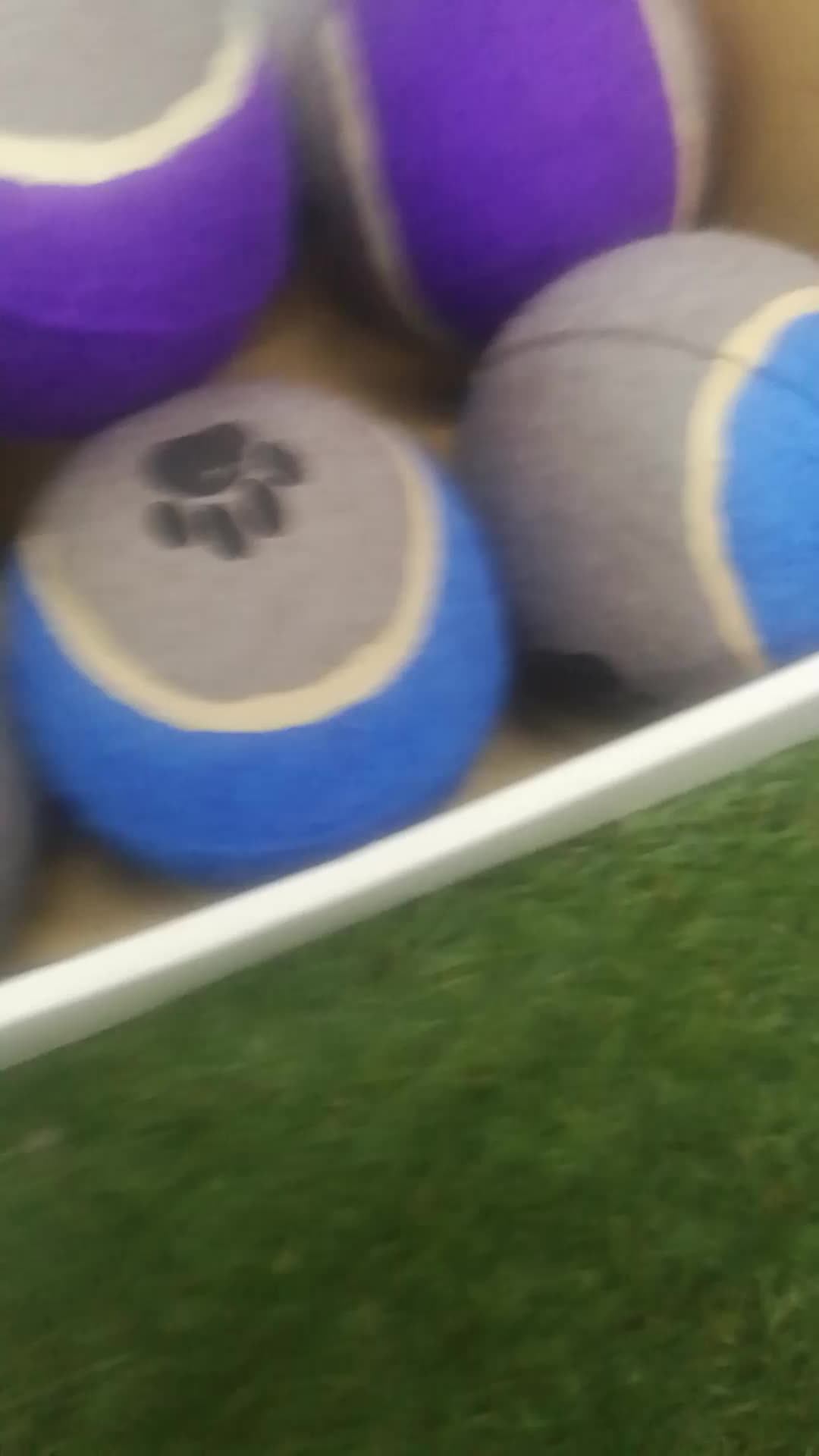 Petstar Eco Friendly Factory Pet Supply Tennis Ball Toy For Pet Dog