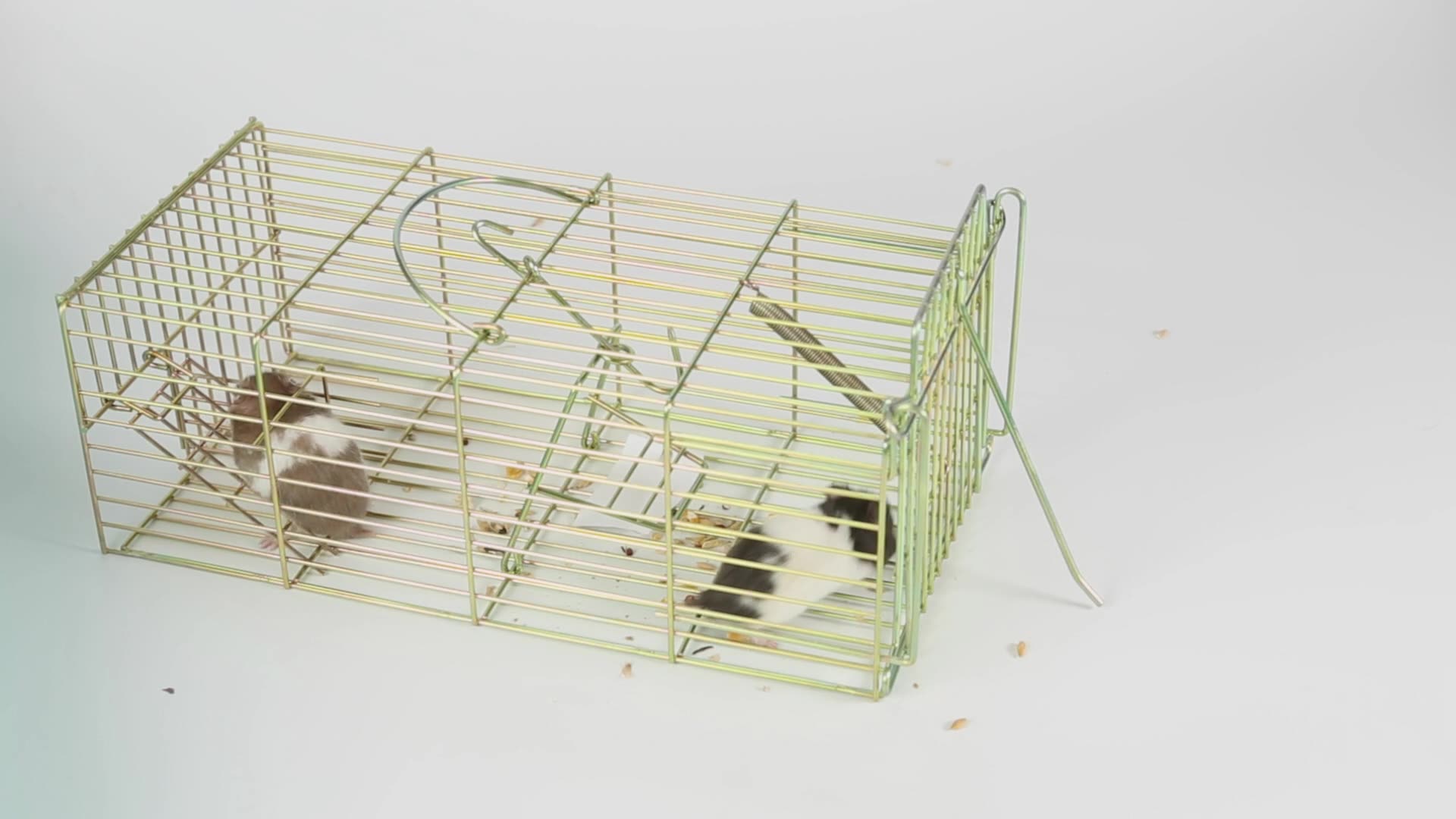 Humane Live Multi Catch Wire Mesh Metal Mouse Rat Animal Trap Cage Sx