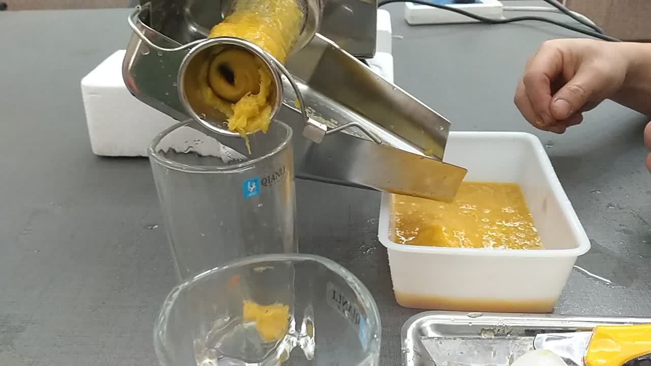 Electric Tomato Sauce Machine/making Juice For Tomato Mango Machine
