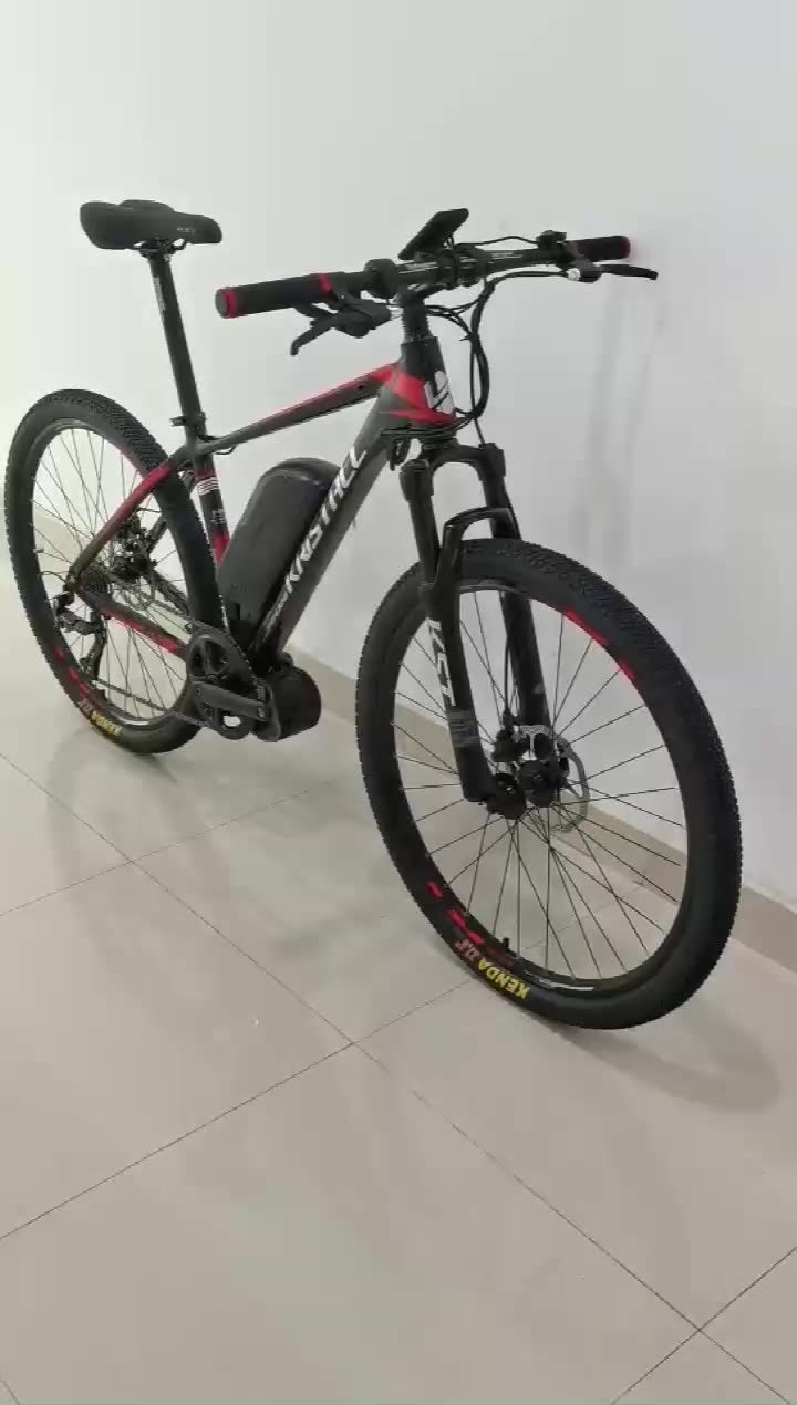 China Electric Bike Manufacturer 26'' 27.5'' 29er Bangfang Motor Mid